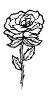 ROSE11.PCX