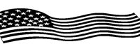 FLAG_USA.PCX