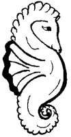 SEAHORSE.PCX
