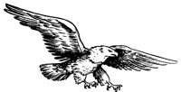 CH4989.PCX