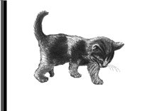 CAT2.PCX