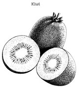 KIWI.PCX