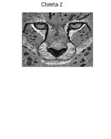 CHEETA2.PCX