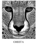 CHEETA1.PCX