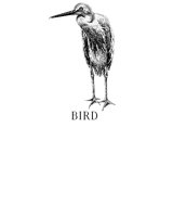 BIRD.PCX