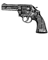20_GUN.PCX