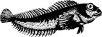 CC130481.WMF