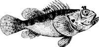 CC130475.WMF