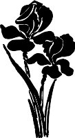 CC130764.WMF