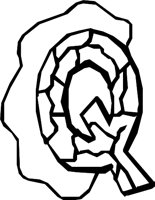 DSGN01_Q.WMF
