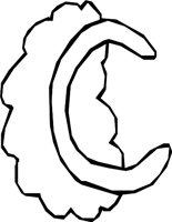 DSGN05_C.WMF