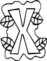 DSGN11_X.WMF