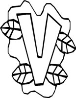 DSGN11_V.WMF