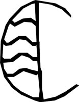 DSGN14_C.WMF