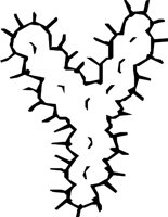 DSGN16_Y.WMF