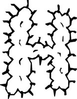 DSGN16_H.WMF