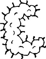 DSGN16_C.WMF