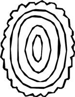 DSGN02_0.WMF