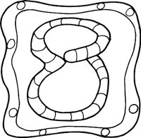 8R.WMF