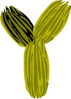 IYBRUSH.WMF