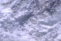 10065.GIF