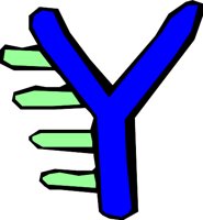 DSGN06_Y.WMF