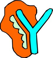 DSGN07_Y.WMF