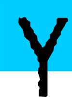 DSGN26_Y.WMF