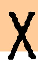 DSGN26_X.WMF