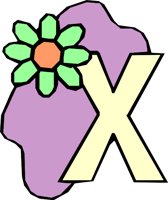 SPRING_X.WMF