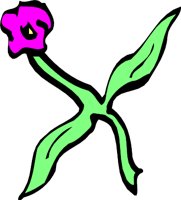 FLOWERXL.WMF