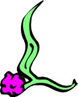 FLOWERLL.WMF