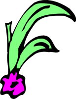 FLOWERFL.WMF