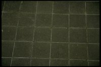 4084.GIF