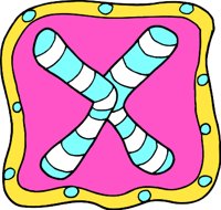 XR.WMF