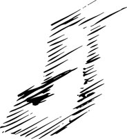 J-WINDS.WMF