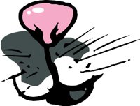 NOSE7S.WMF