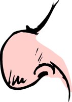 NOSE6S.WMF
