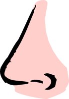 NOSE4S.WMF