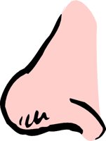 NOSE3S.WMF