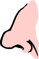 NOSE1S.WMF