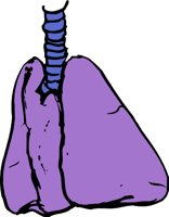 LUNGS.WMF