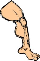 LEGMUSJ.WMF