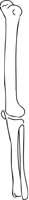 LEGBONI.WMF