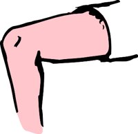 KNEES.WMF