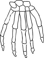 HANDBI.WMF
