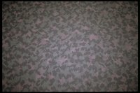 4092.GIF