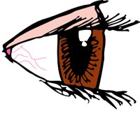 EYE02S.WMF