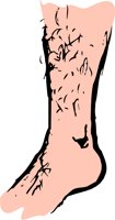 ANKLES.WMF