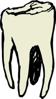 TOOTHS.WMF